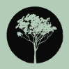 Darwin Health Group logo